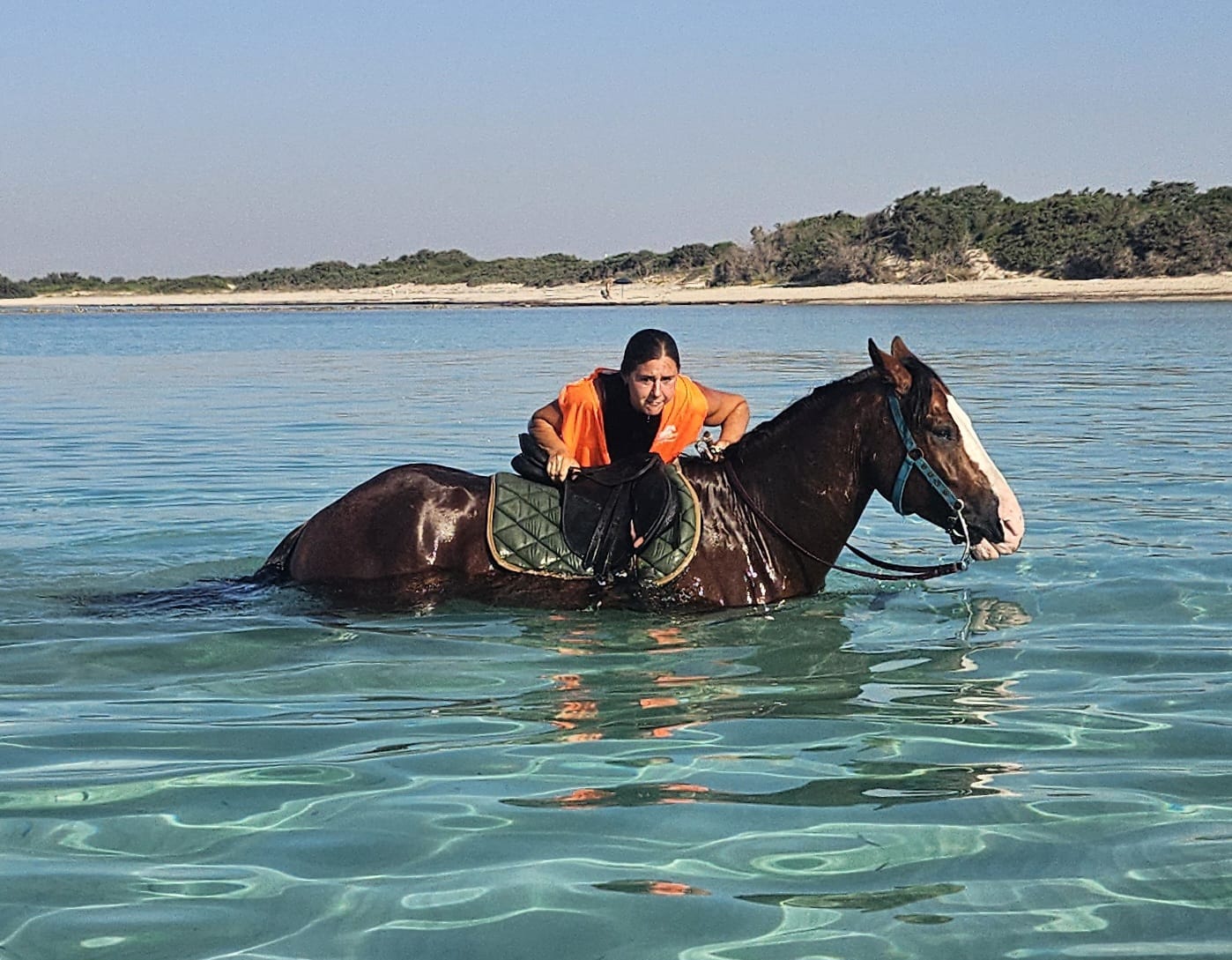 Cavallo nel mare cristallino di Punta Prosciutto