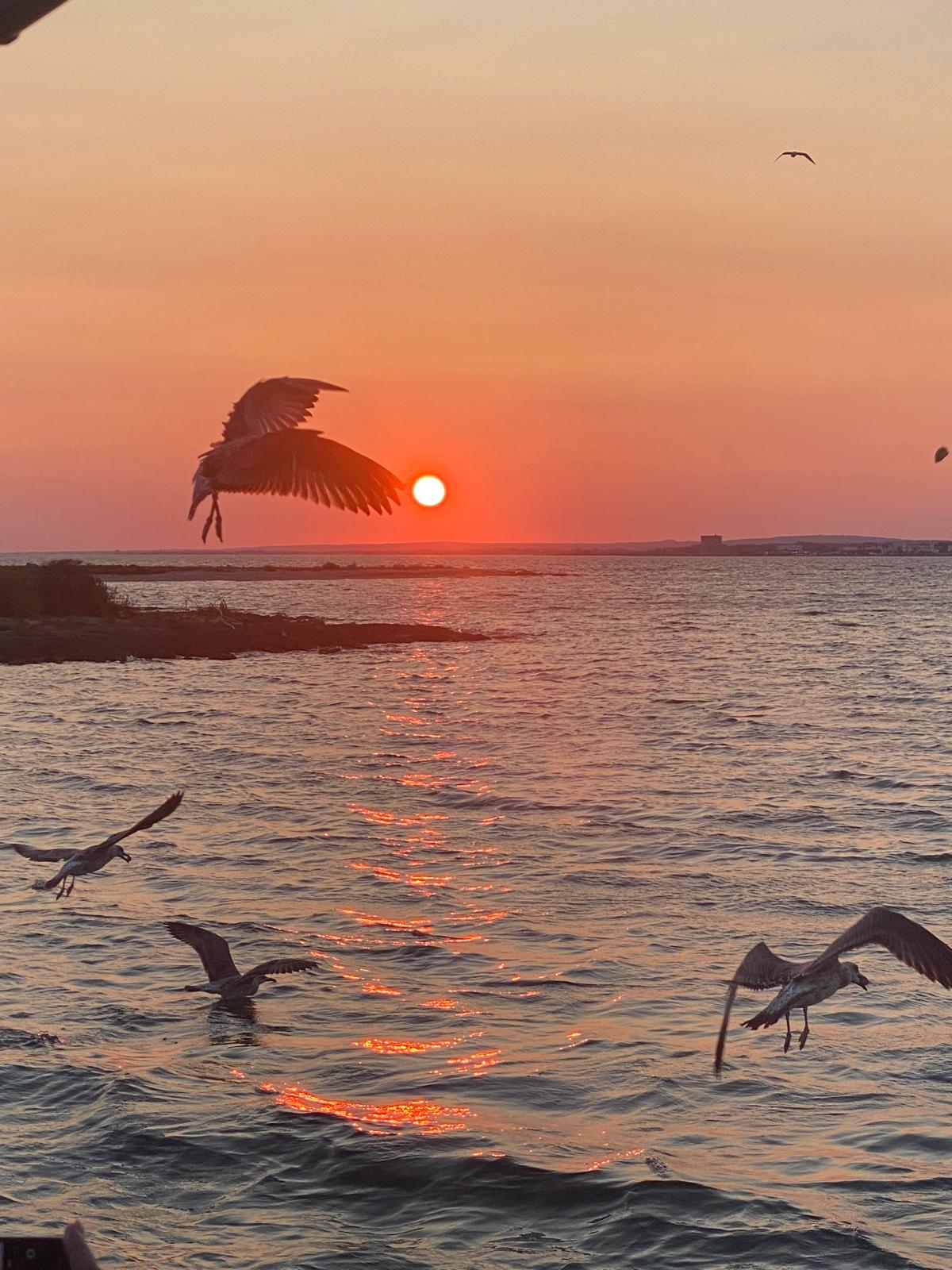 Tramonto sul mare durante l'escursione in barca a Porto Cesareo