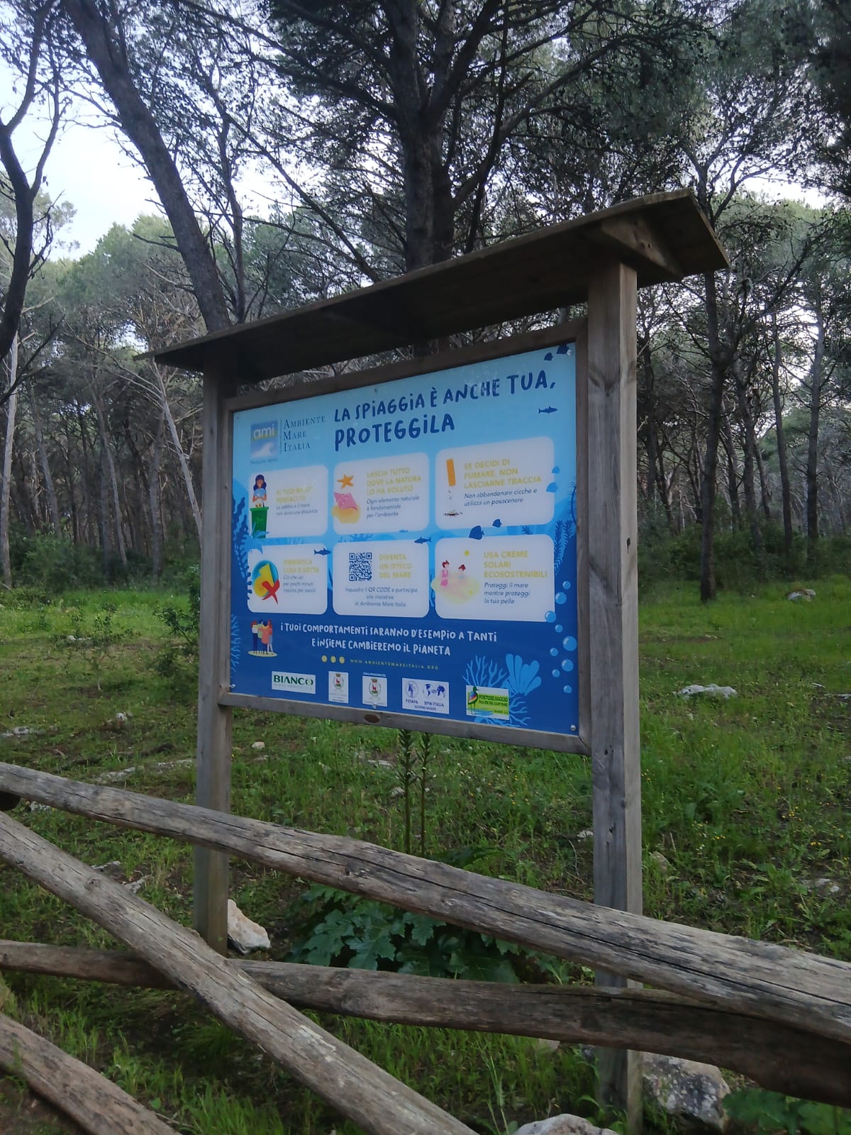 Natura e macchia mediterranea nel parco di Porto Selvaggio